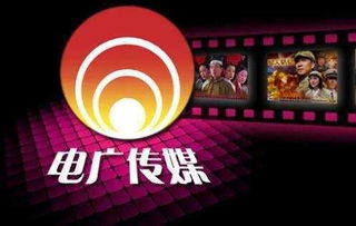 传媒第一股 巨亏4.64亿 这就是传说中的 整容式变脸