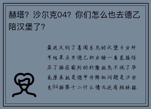 赫塔？沙尔克04？你们怎么也去德乙陪汉堡了？