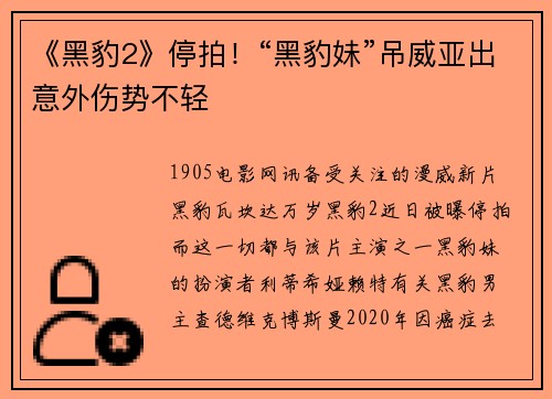 《黑豹2》停拍！“黑豹妹”吊威亚出意外伤势不轻