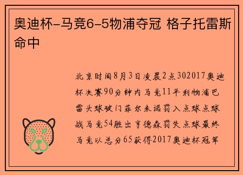 奥迪杯-马竞6-5物浦夺冠 格子托雷斯命中