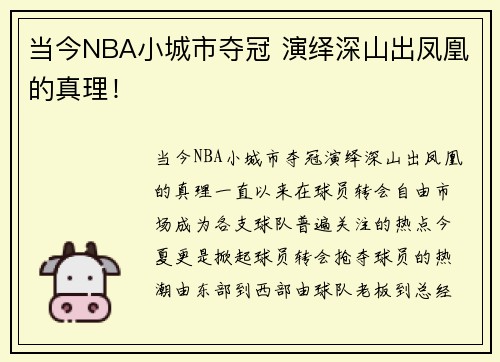 当今NBA小城市夺冠 演绎深山出凤凰的真理！